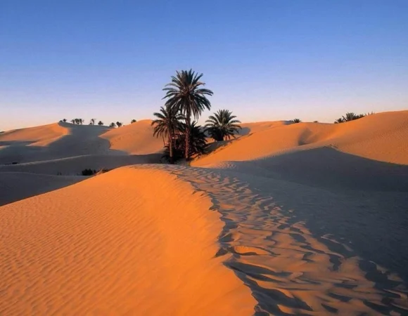 WhatsApp Image 2026-04-22 at 11.53.53 AM (1)