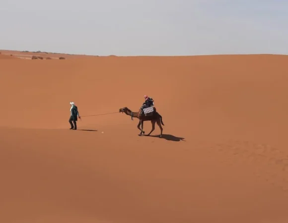 WhatsApp Image 2026-04-22 at 11.53.54 AM (3)