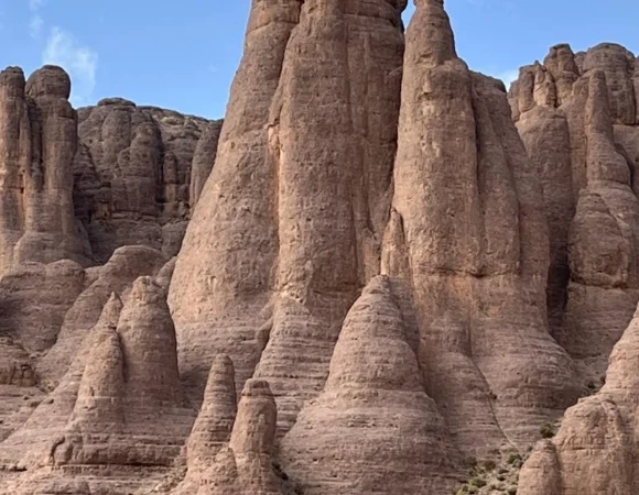 WhatsApp Image 2026-04-22 at 11.53.54 AM (4)