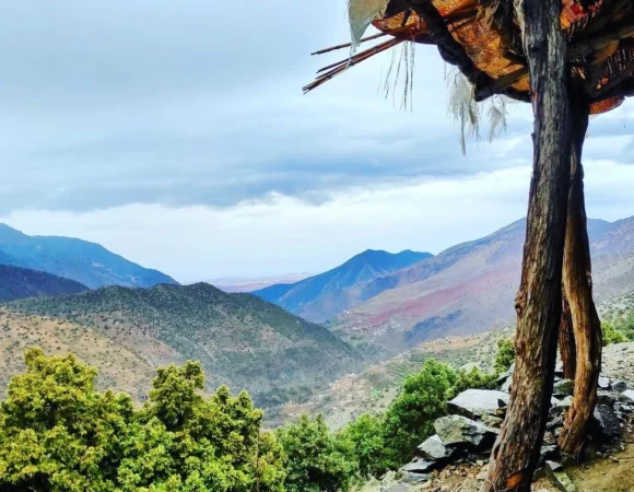 WhatsApp Image 2026-04-22 at 11.53.54 AM