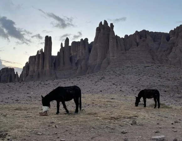 WhatsApp Image 2026-04-22 at 11.53.55 AM (1)