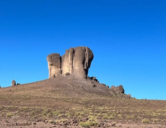 WhatsApp Image 2026-04-22 at 11.53.55 AM (2)