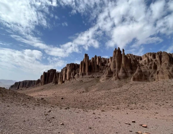 WhatsApp Image 2026-04-22 at 11.53.55 AM