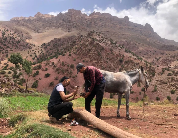 WhatsApp Image 2026-04-22 at 11.53.56 AM (1)