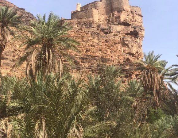 WhatsApp Image 2026-04-22 at 11.53.56 AM (3)