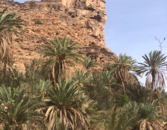 WhatsApp Image 2026-04-22 at 11.53.56 AM (4)