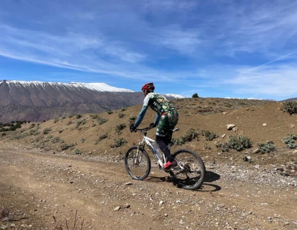 WhatsApp Image 2026-04-22 at 11.53.57 AM (2)