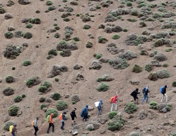 WhatsApp Image 2026-04-22 at 11.53.58 AM (1)