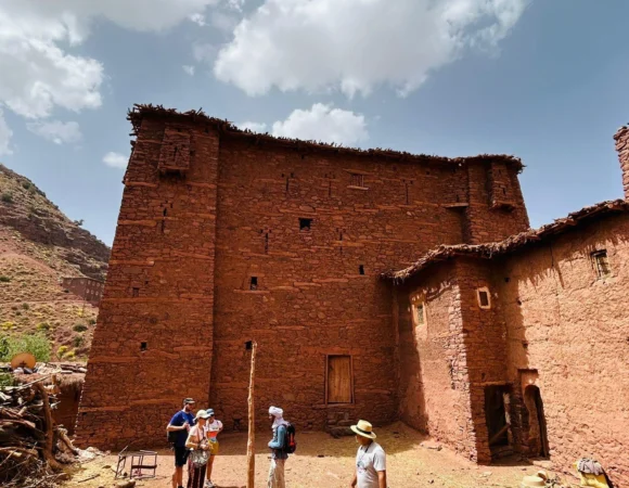 WhatsApp Image 2026-04-22 at 11.53.58 AM (2)