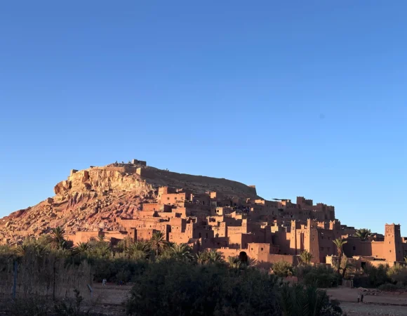 WhatsApp Image 2026-04-22 at 11.53.58 AM (3)