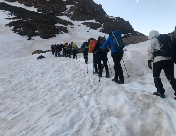 WhatsApp Image 2026-04-22 at 11.54.16 AM