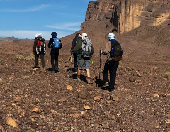 WhatsApp Image 2026-04-22 at 11.54.33 AM