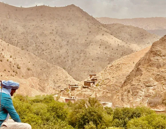 WhatsApp Image 2026-04-22 at 11.54.35 AM (2)