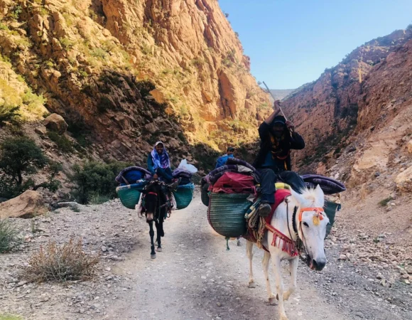 El circo de Taghia y el Valle feliz