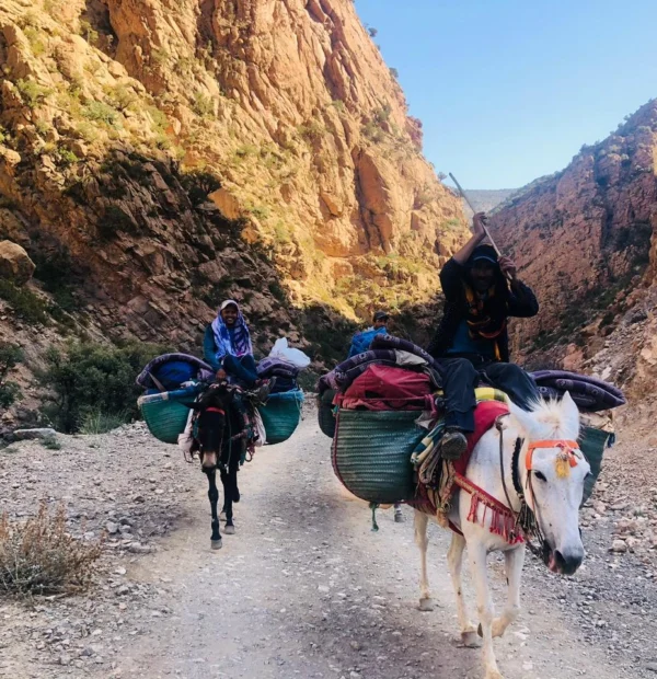 El circo de Taghia y el Valle feliz